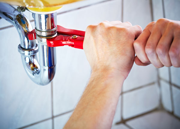 About Grasonville Plumbers